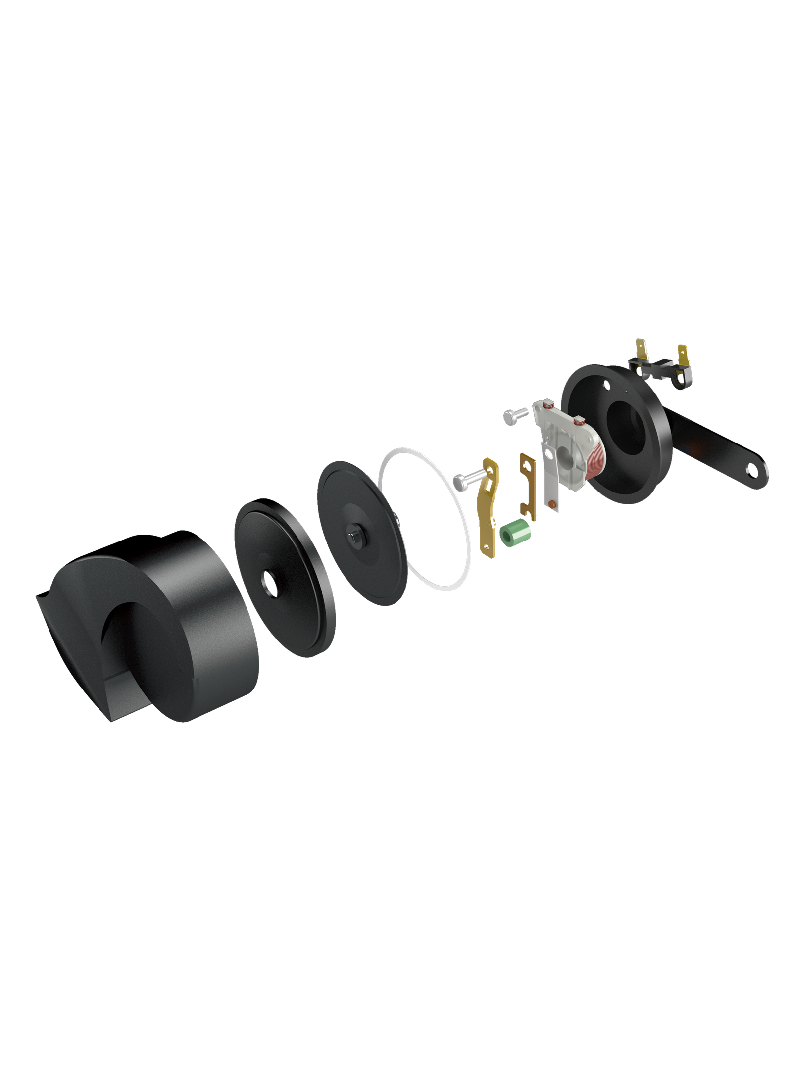 horn internal structure diagram